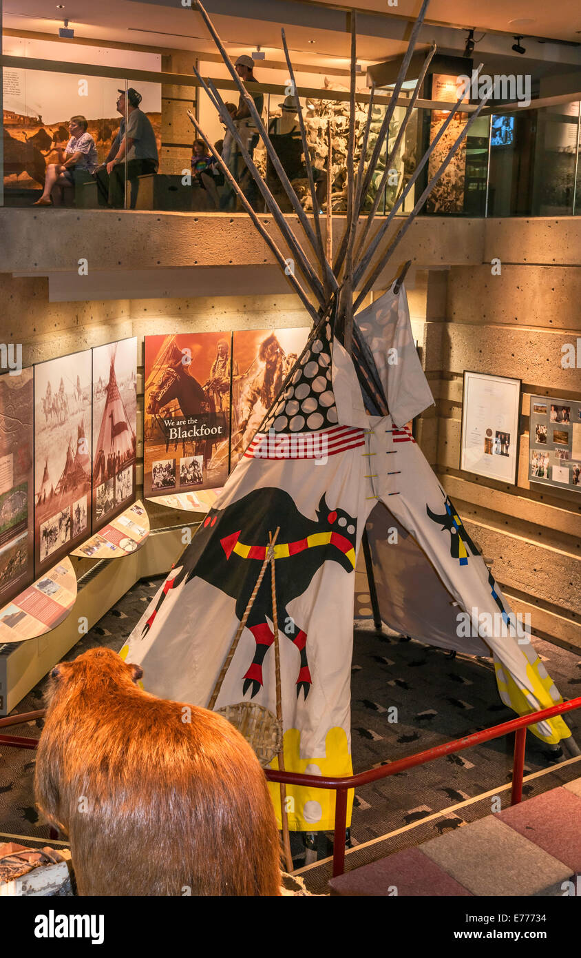 Tipi, Biber im Vordergrund, Diorama bei Head-Smashed-In Buffalo Jump Interpretive Centre, in der Nähe von Fort Macleod, Alberta, Kanada Stockfoto