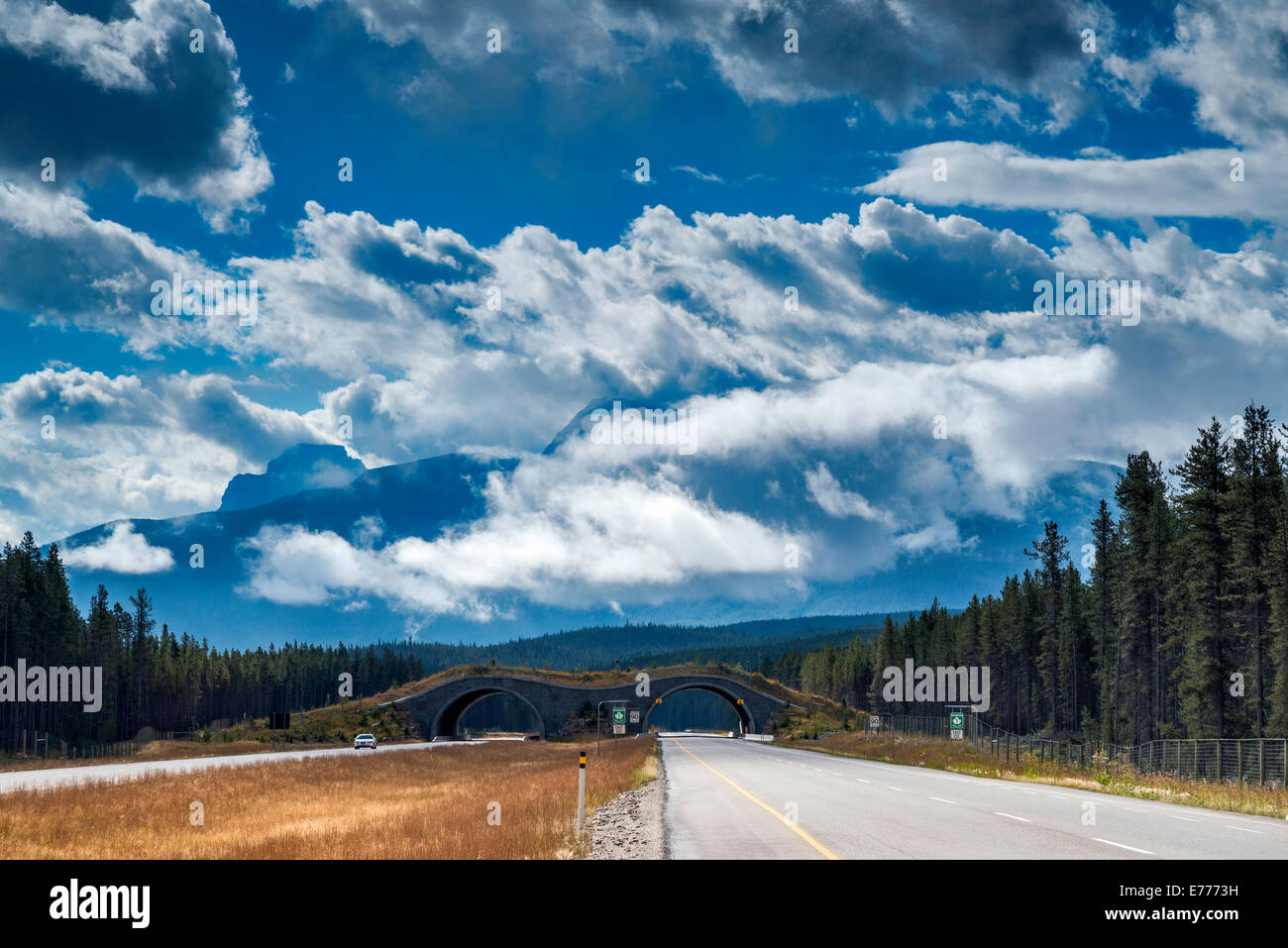 Dramatische Wolken über der Kanadischen Rockies, von der Trans-Canada Highway, Animal Crossing Bridge in Dist, Banff National Park, Alberta Stockfoto