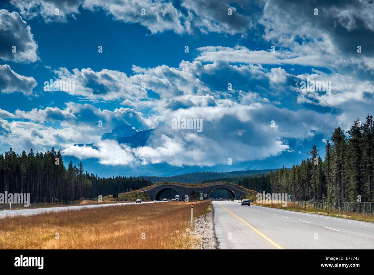 Dramatische Wolken über der Kanadischen Rockies, von der Trans-Canada Highway, Animal Crossing Bridge in Dist, Banff National Park, Alberta Stockfoto