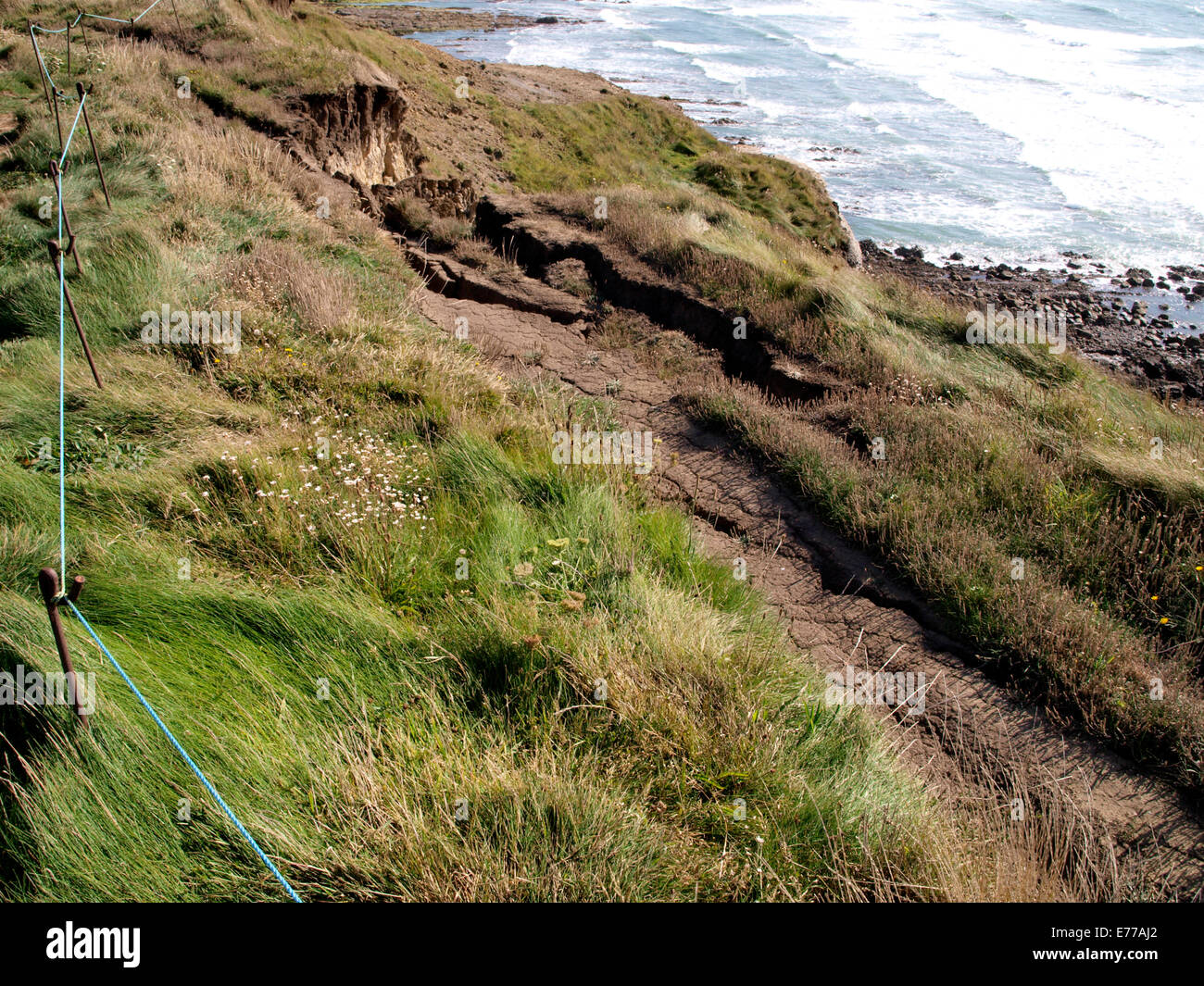 Erosion auf der Südwest-Küstenweg Widemouth Bay, Cornwall, UK Stockfoto