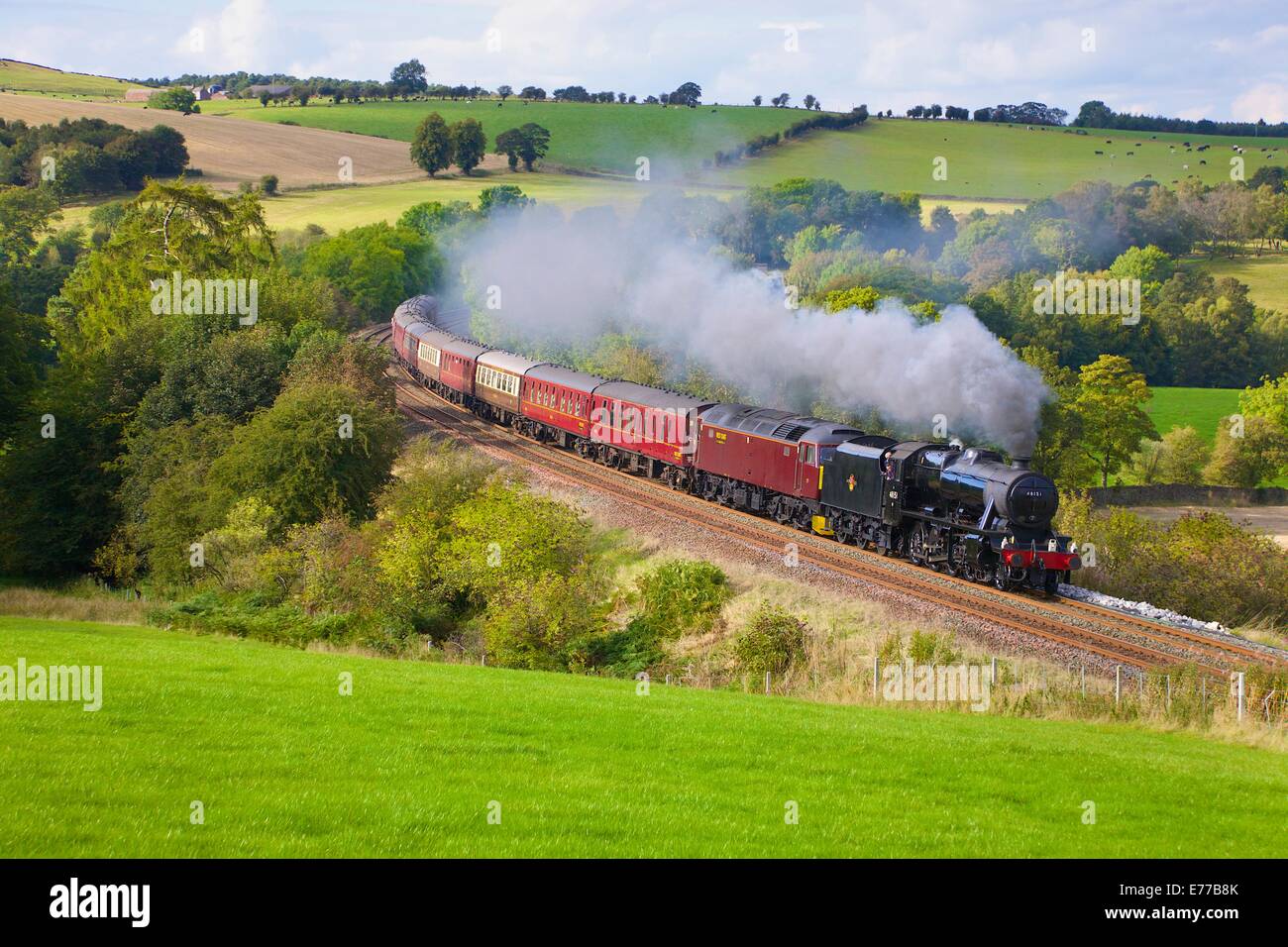 LMS Stanier Klasse 8F 48151, Dampf Zug in der Nähe von Low Baron Holz Bauernhof Armathwaite Eden Valley, Cumbria, England, UK. Stockfoto