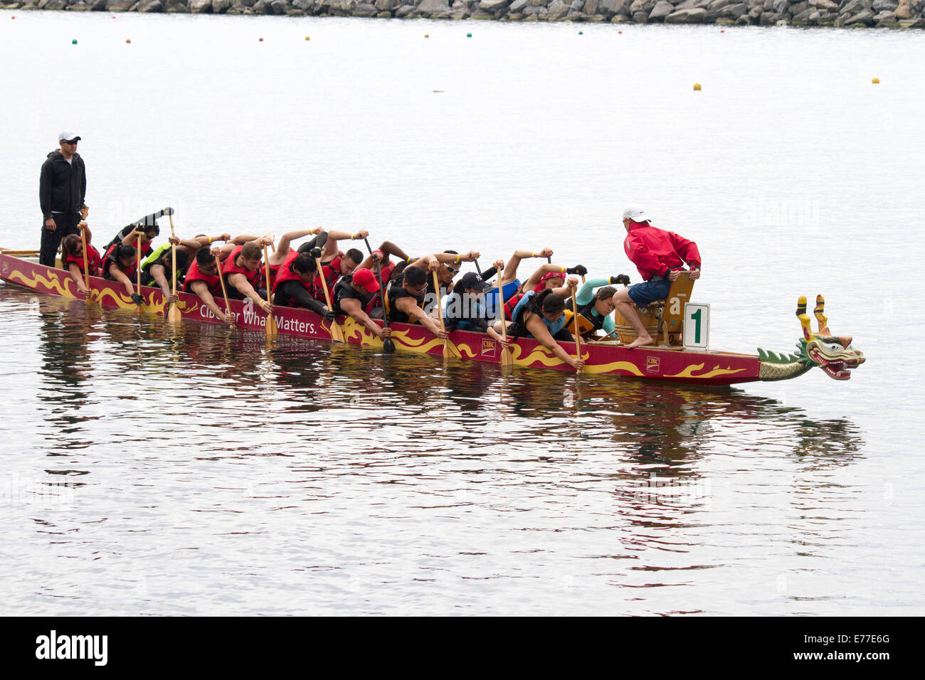 Team von Dragon Bootsfahrer verspannt zunächst Rudern auf der GWN Drachenbootrennen in Toronto, Ontario Kanada Stockfoto