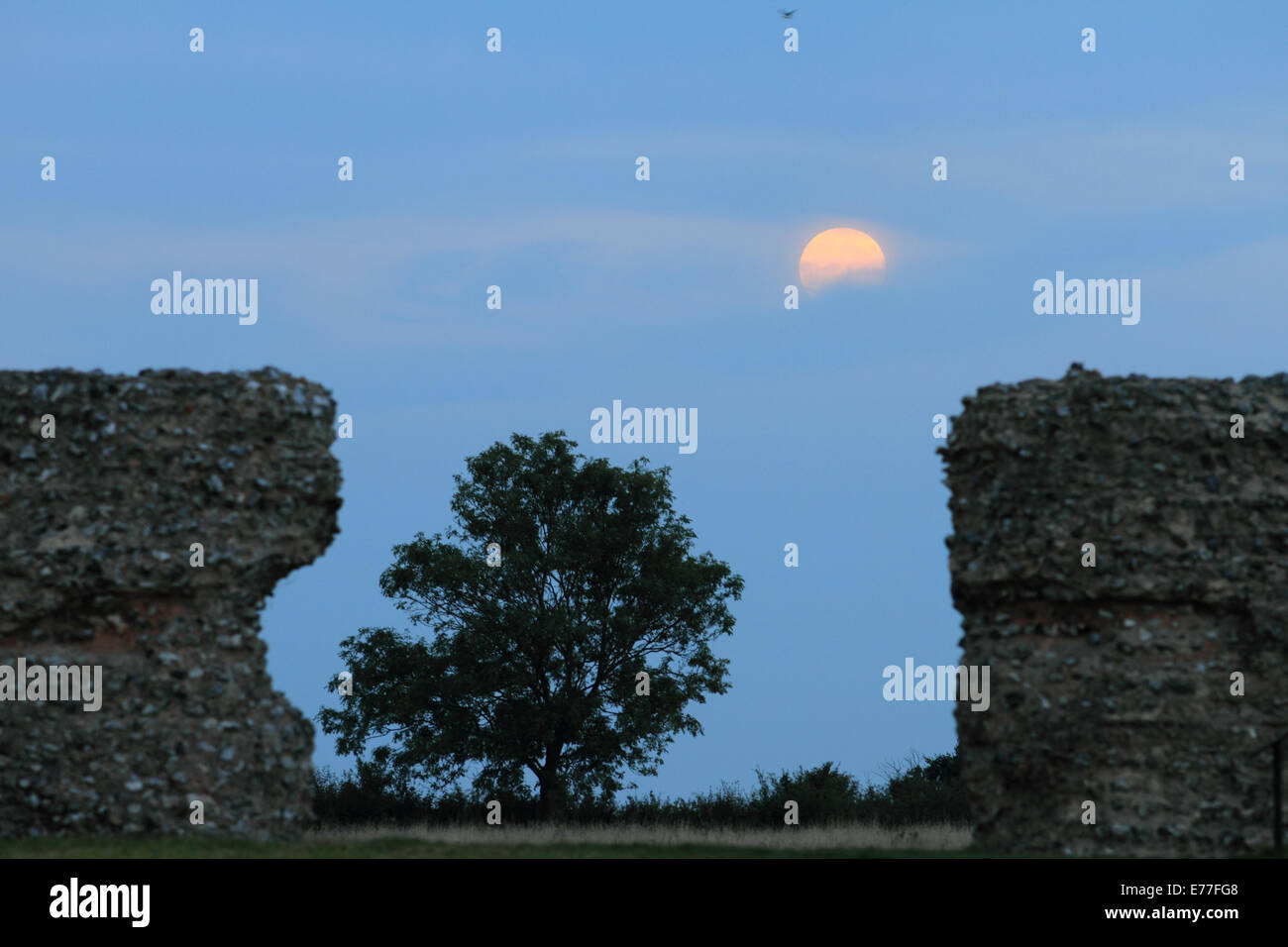 Norfolk, Großbritannien. 8. Sept. 2014. Vollmond am Burgh Castle, Great Yarmouth, Norfolk, UK Credit: Charcrit Sonja/Alamy Live-Nachrichten Stockfoto