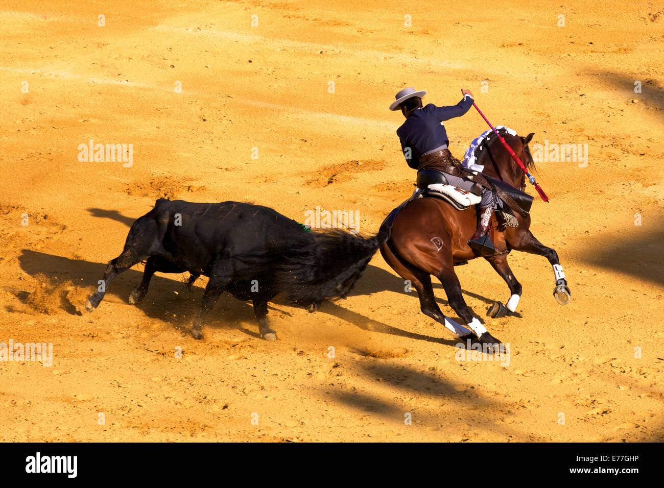 Stierkampf, Jerez De La Frontera, Provinz Cadiz, Andalusien, Spanien, Süd-West-Europa Stockfoto