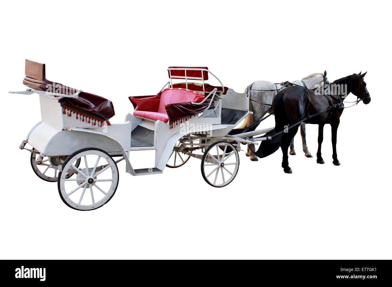Promenade-Trainer mit zwei geharnischten Pferden isoliert auf weiss Stockfoto