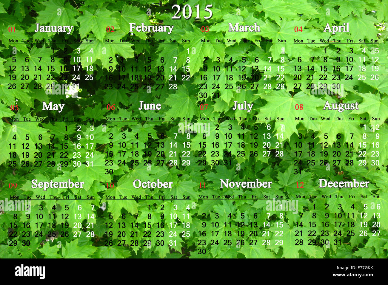 Kalender 2014-2017 jahrelang auf der grünen Blätter von Ahorn-Hintergrund Stockfoto