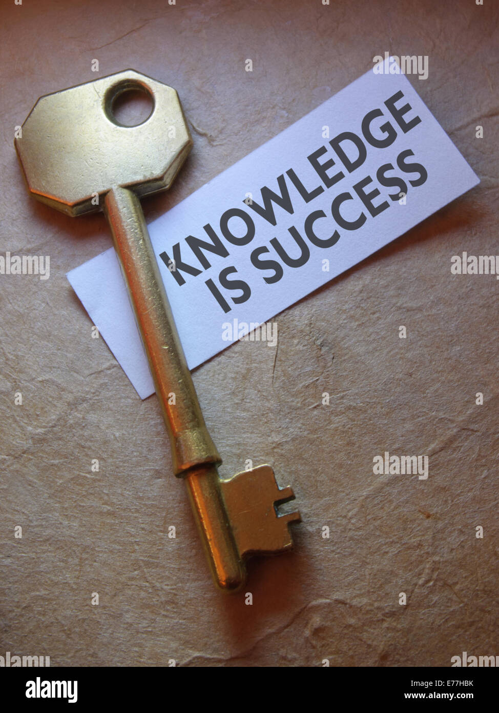 Wissen ist Erfolg Stockfoto