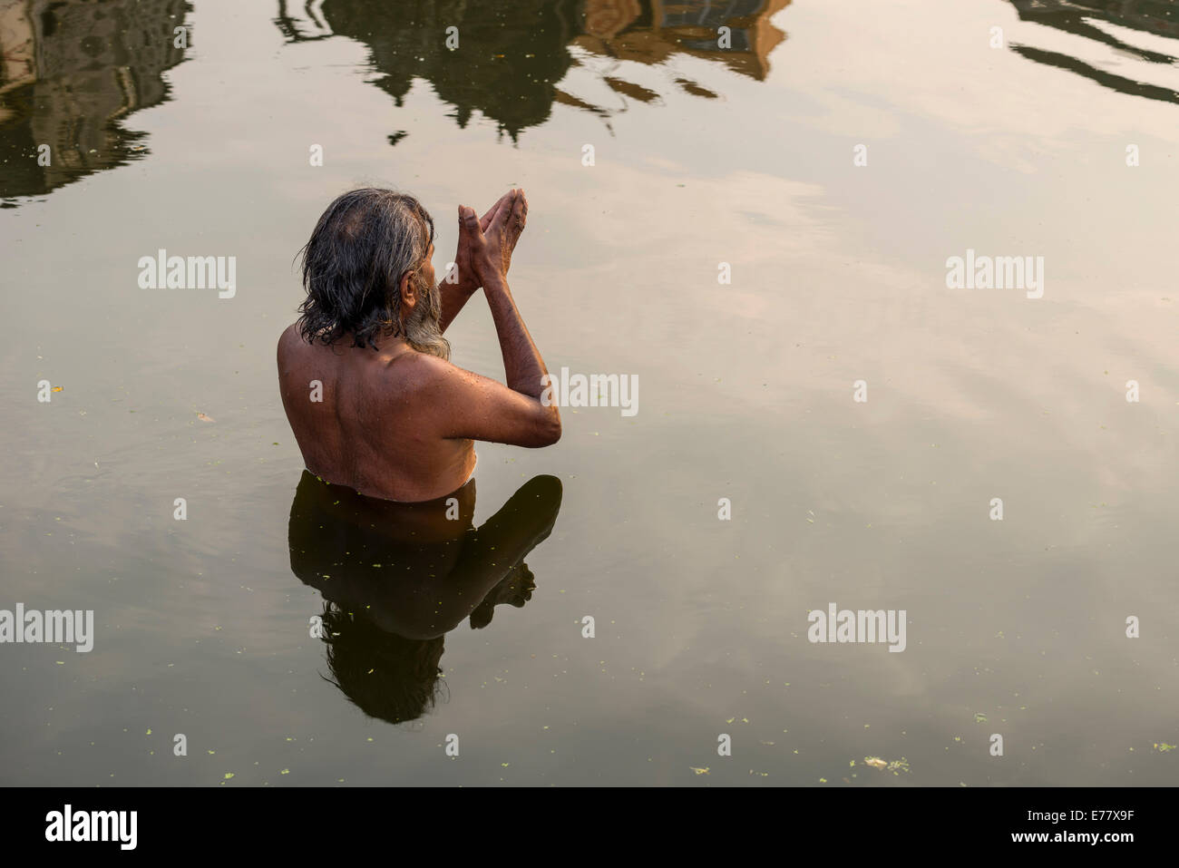Ein Mann betet im heiligen Wasser des Flusses Godwari, Nasik, Maharashtra, Indien, Stockfoto