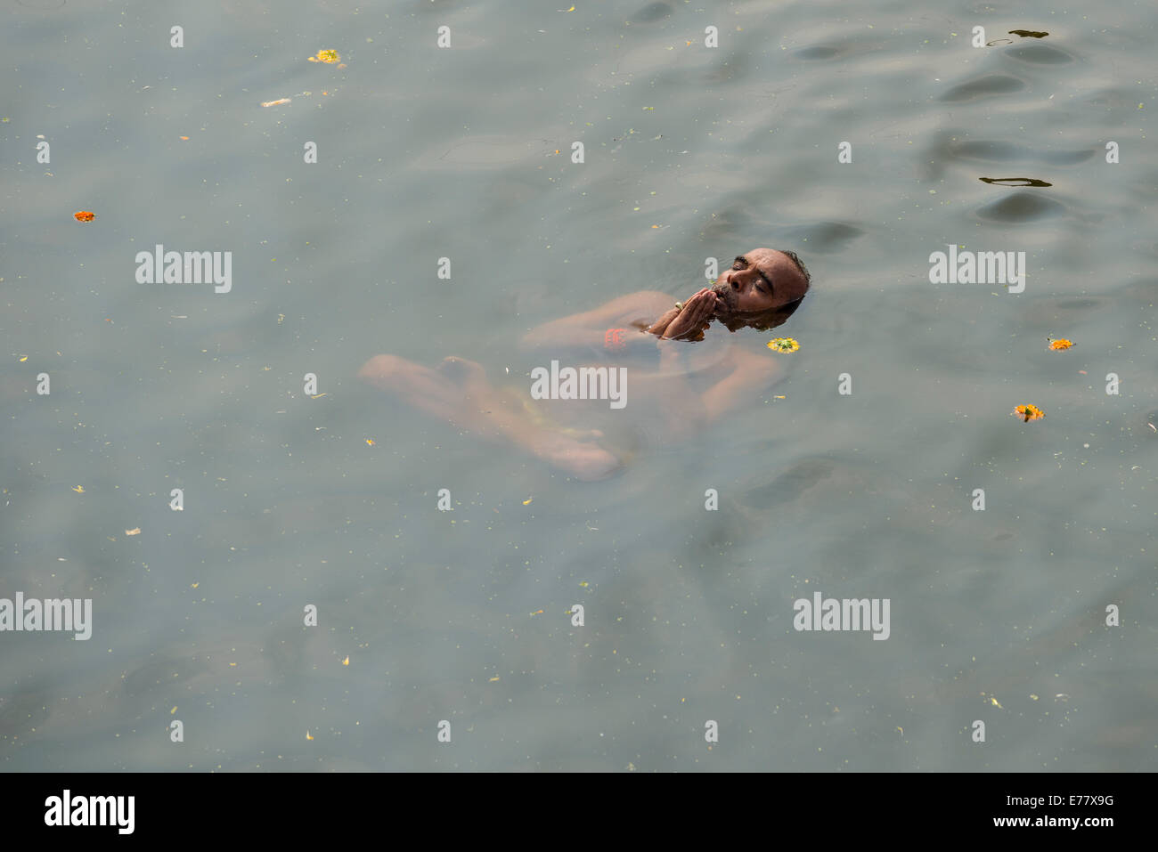 Ein Mann tritt Padmasana, Lotussitz, Baden im heiligen Wasser des Flusses Godwari, Nasik, Maharashtra, Indien Stockfoto