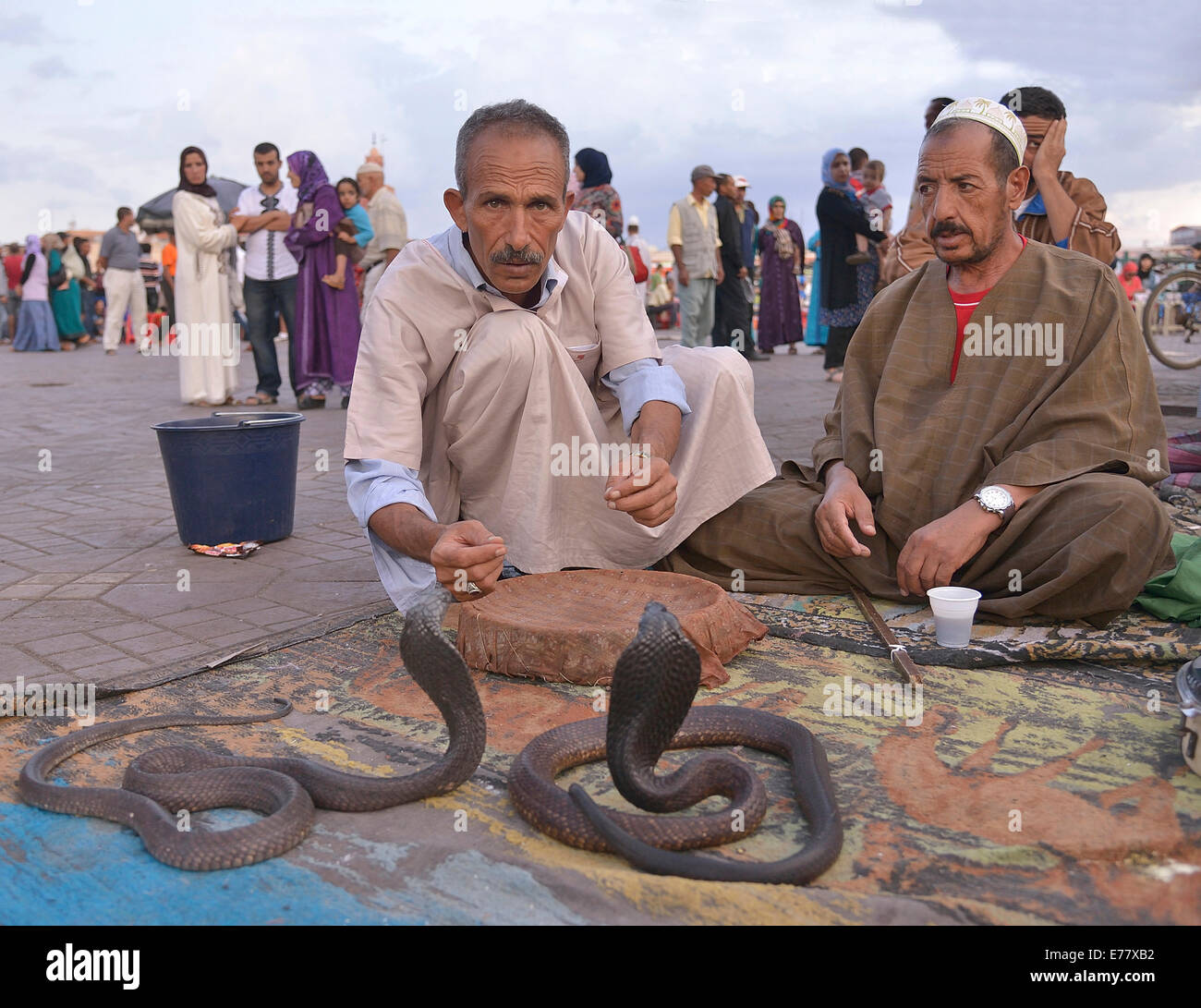Schlangenbeschwörer auf dem Djemaa el-Fna Marktplatz, Marrakesch, Marrakech-Tensift-El Haouz Region, Marokko Stockfoto