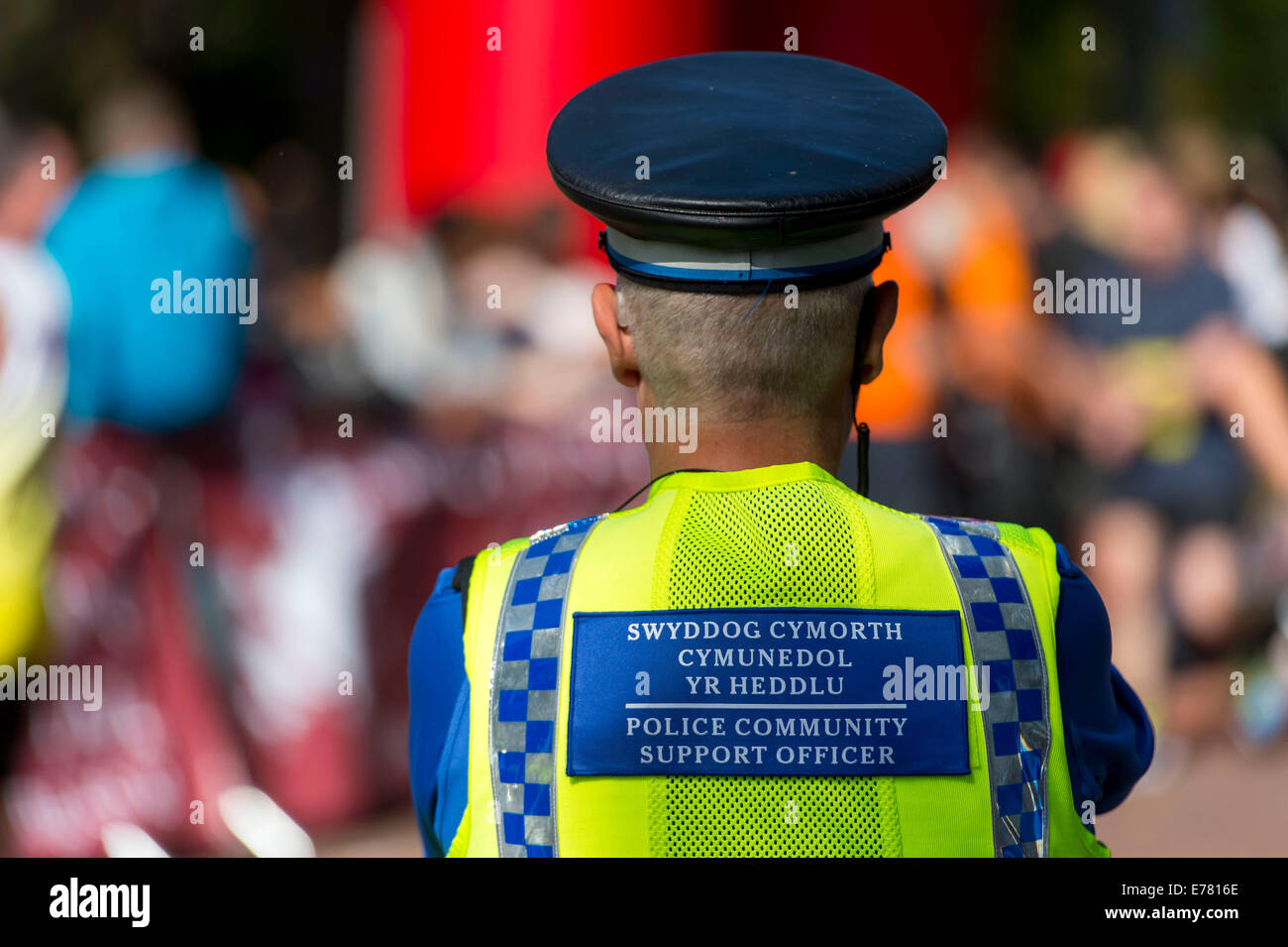 Ein walisischer Gemeinschaft Unterstützung Polizist (PCSO) blickt auf eine während einer Veranstaltung. Stockfoto