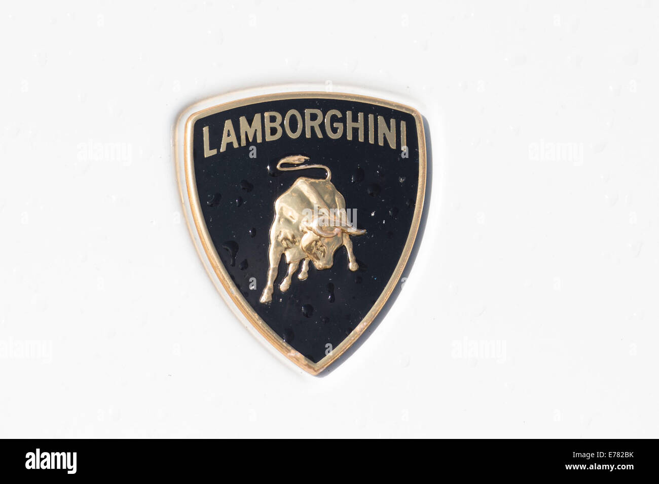 Lamborghini hieß auf Motorhaube von einem weißen Lamborghini Auto. Stockfoto