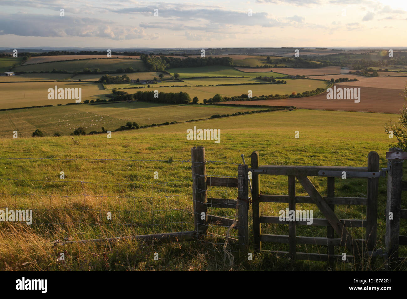 Ein Blick auf die Landschaft von Hampshire aus alten Winchester Hill in Hampshire, England Stockfoto
