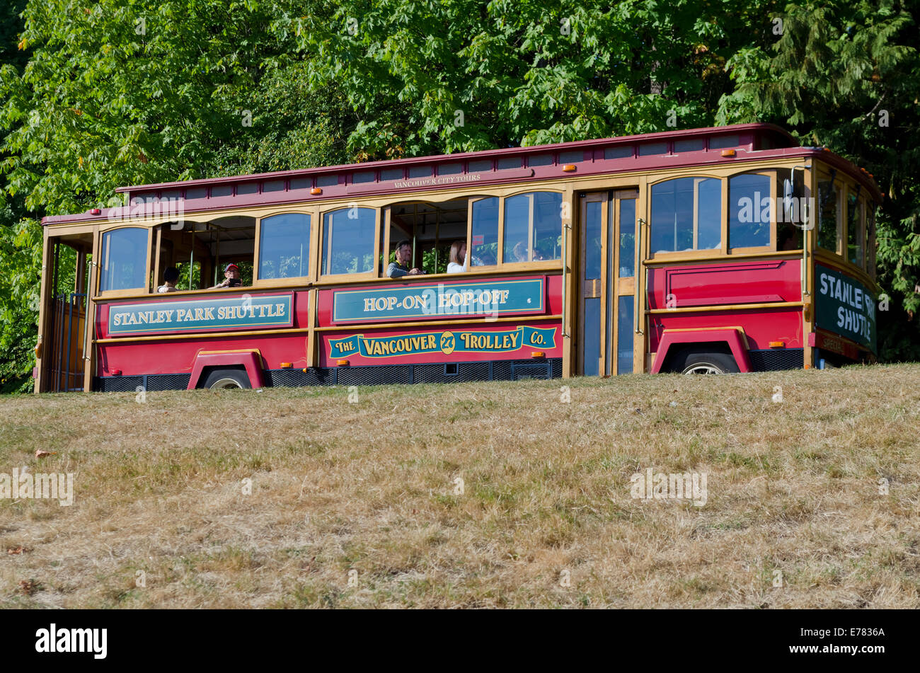 Stanley Park Shuttle Trolley Tour mit Touristen macht einen Stop in den wunderschönen Park in Vancouver, British Columbia, Kanada. Trolley bus tour. Stockfoto