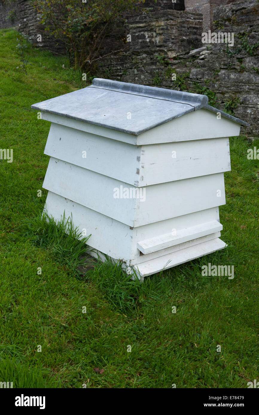 Hölzernen Bienenstock WBC - traditionelle Form - weiß lackiert, in einem Garten in Devon. Stockfoto