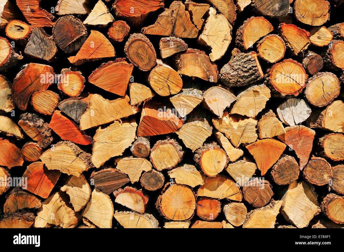 ein Haufen von Scheitholz Protokolle Stockfoto