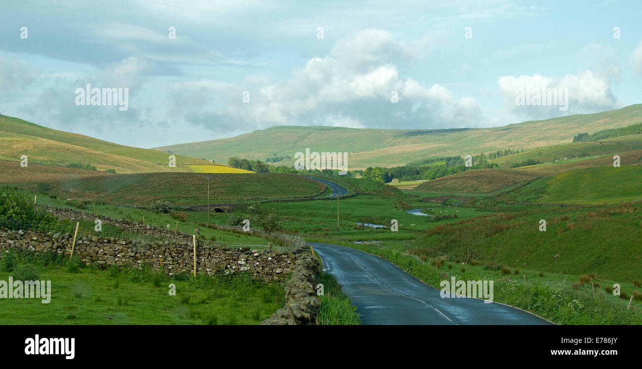 Schmale kurvenreiche Straße schneidet durch die malerische Landschaft des smaragdgrünen Ackerland von Yorkshire Dales, baumlose Hügel mit Trockenmauern unter blauem Himmel Stockfoto