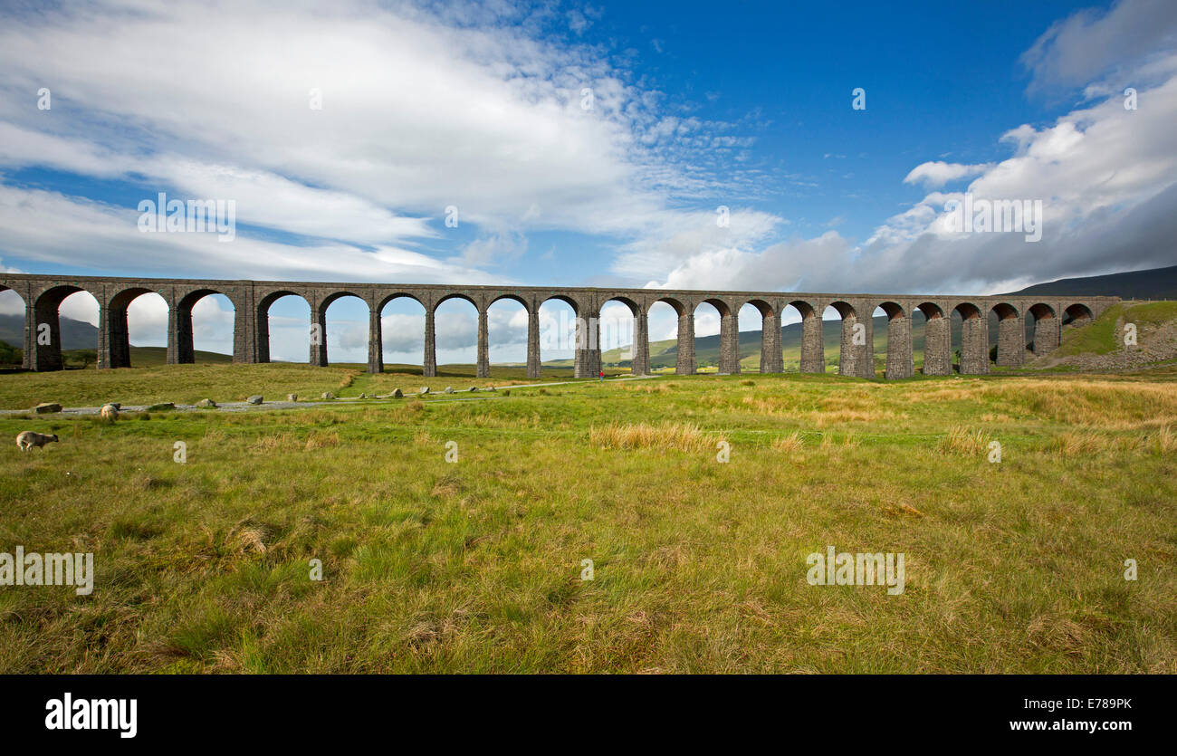 Ribblehead-Viadukt, massive 19. Jahrhundert britische Schiene Brücke Kreuzung Ribble Valley und unter blauen Himmel in North Yorkshire England Stockfoto