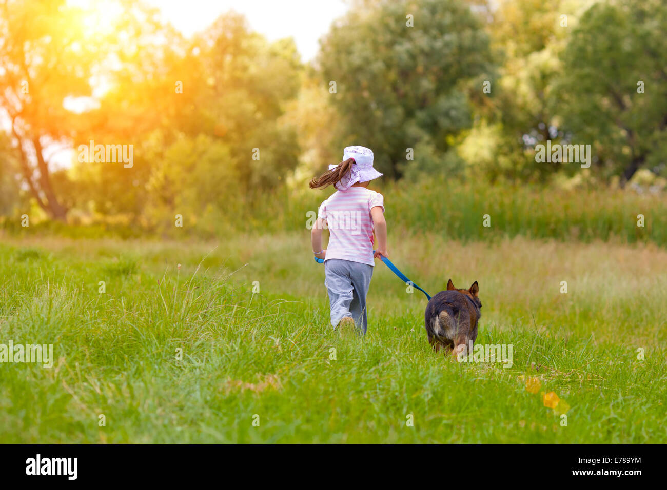 Kleines Mädchen mit Hund auf der Wiese laufen und halten den Hund an der Leine zurück zu Kamera Stockfoto