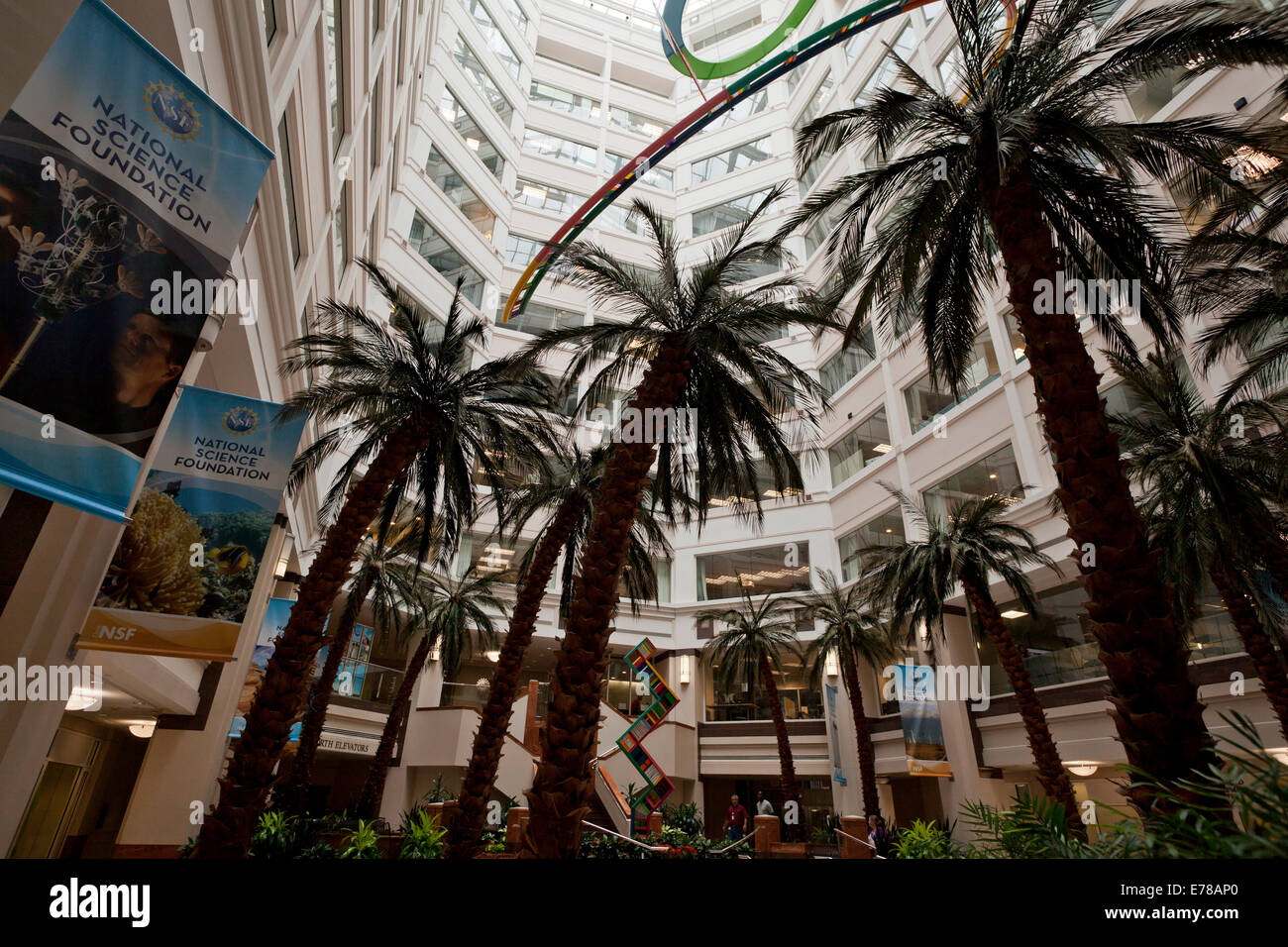 National Science Foundation Gebäudeinneren - Arlington, Virginia, Vereinigte Staaten Stockfoto