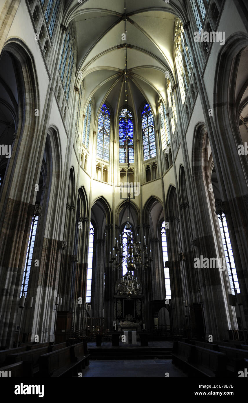 Niederlande. Utrecht. St.-Martins Kathedrale. Im Mittelalter. Französische Gotik. Evangelische Kirche seit 1580. Im Inneren. Stockfoto