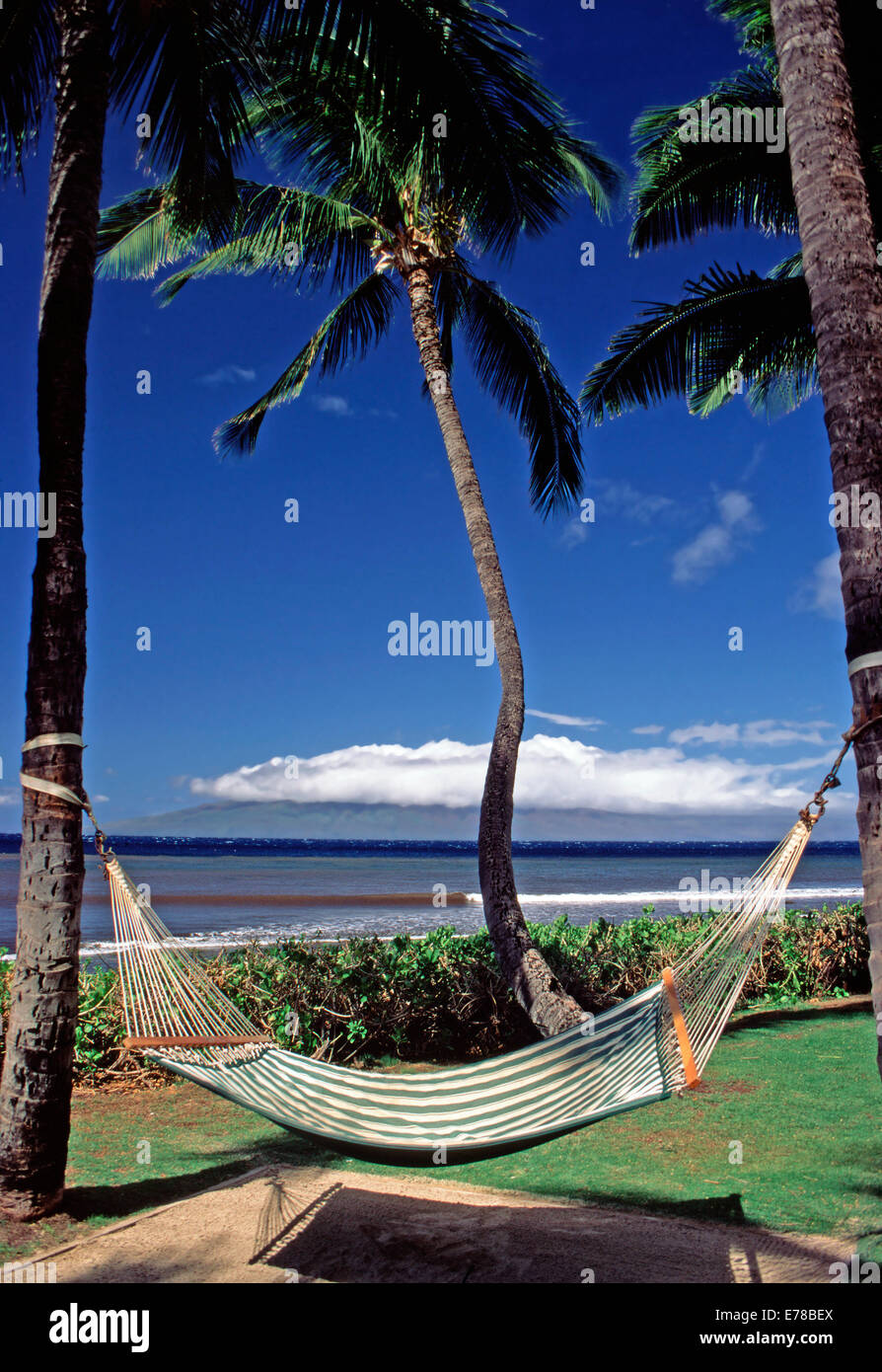 Eine entspannende Hängematte am Strand, Hawaii Stockfoto