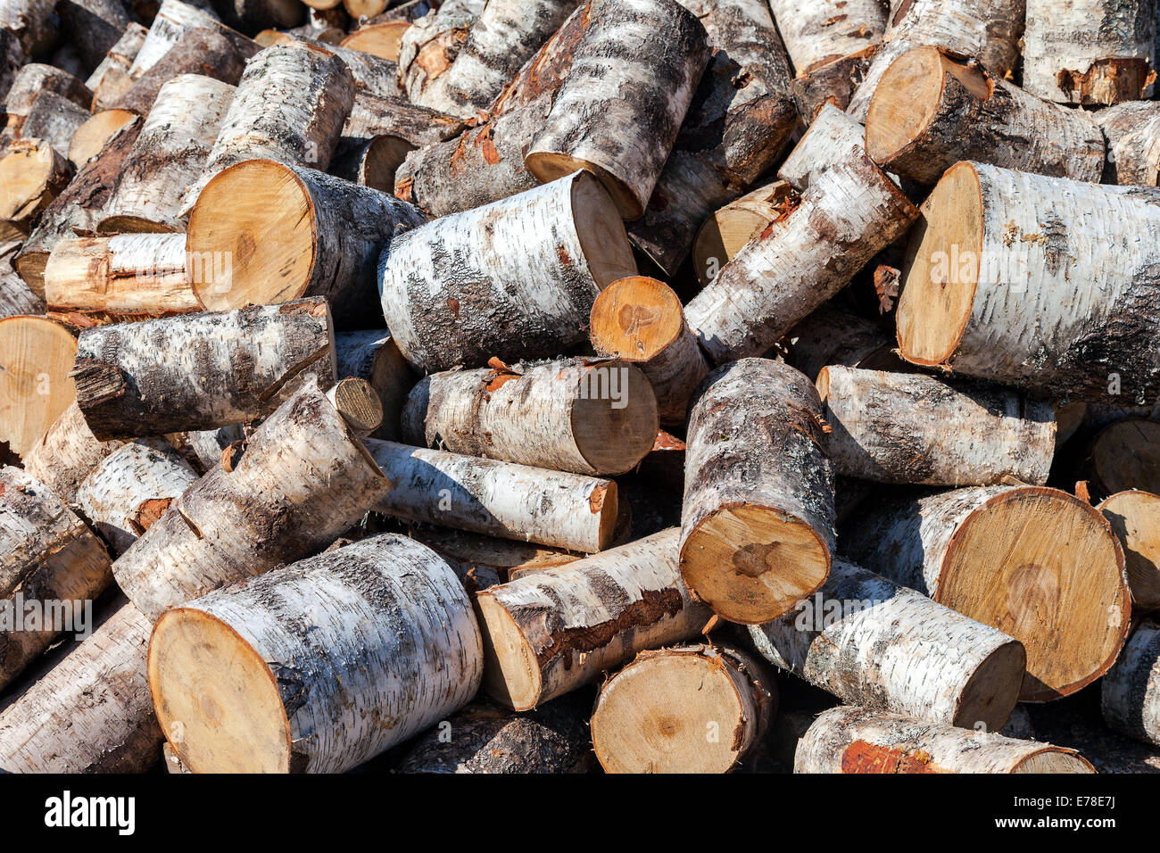 Trockenen gehackte Birke Brennholz protokolliert in Haufen. Natur-Hintergrund Stockfoto