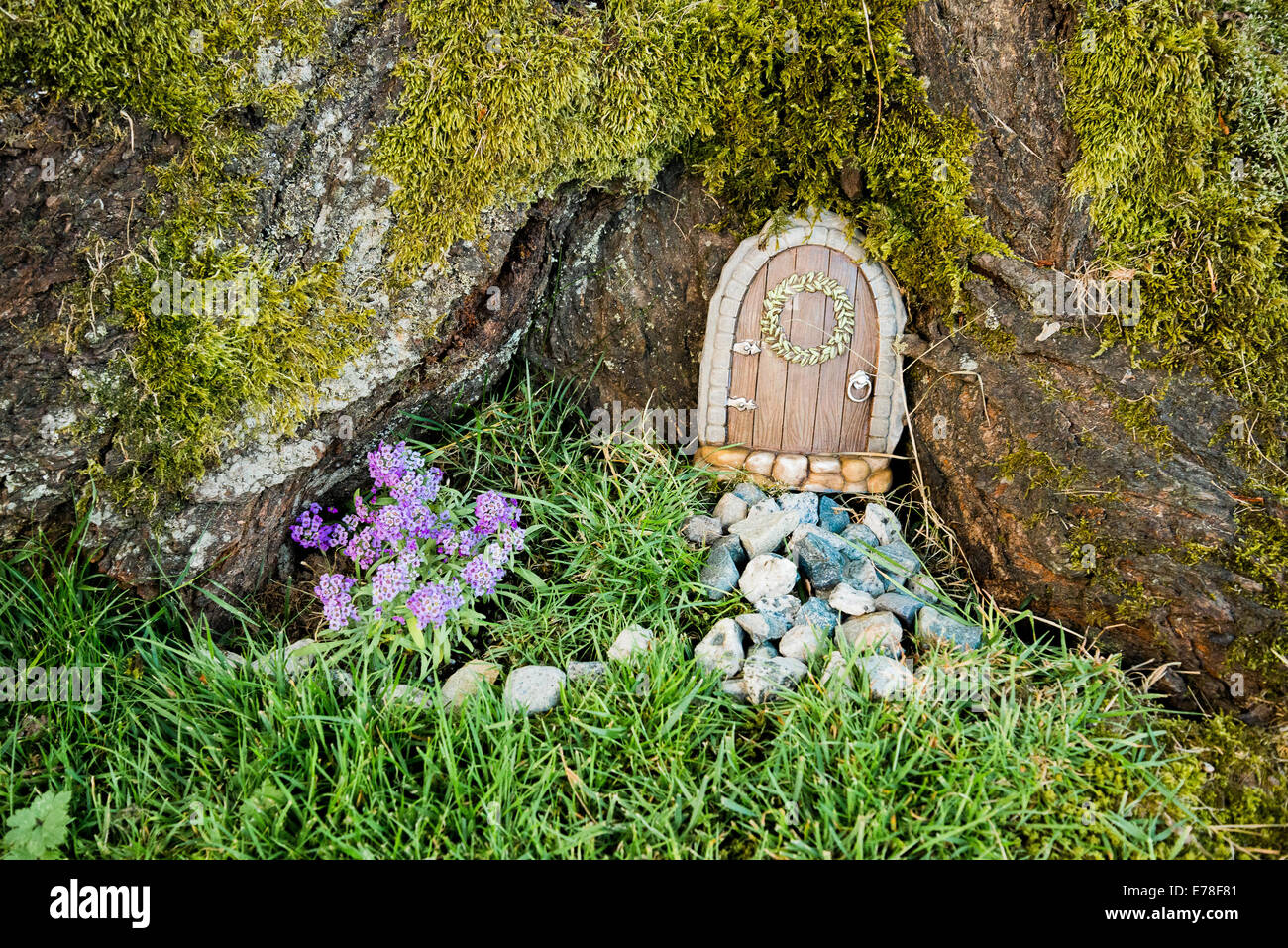 Fairy Door Tree Stockfotos Fairy Door Tree Bilder Alamy