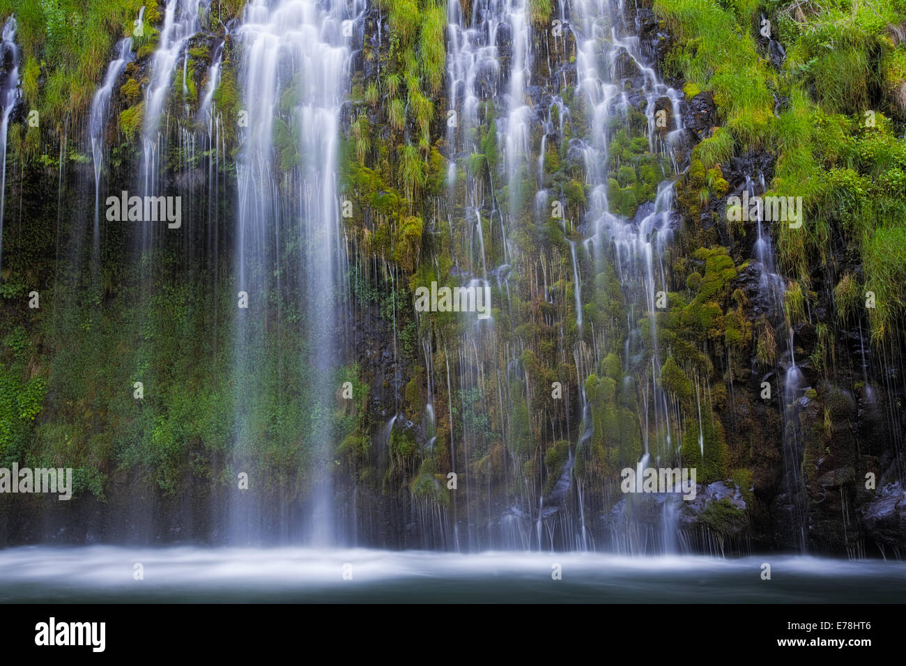 Eine lange belichtete Panoramalandschaft der Mossbrae Falls. Dutzende von Wasserfällen, die von Quellen gespeist werden, stürzen über moosige Canyonwände in den Sacramento River nahe Stockfoto