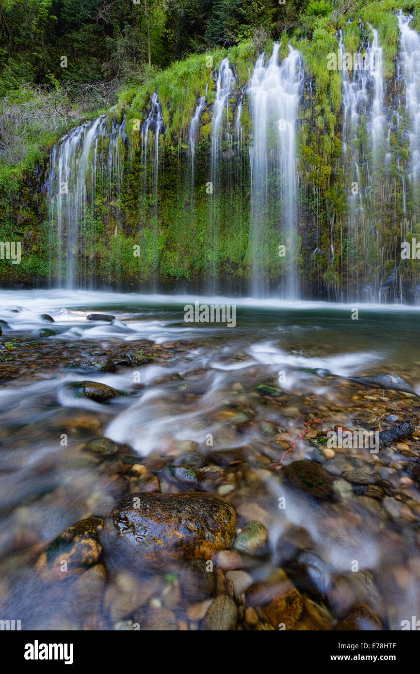 Eine vertikale Langzeitaufnahme der üppigen grünen Klippen an den Mossbrae Falls. Wasser sickert durch lebendiges Moos und Farne, wodurch oben ein Vorhangeffekt entsteht Stockfoto