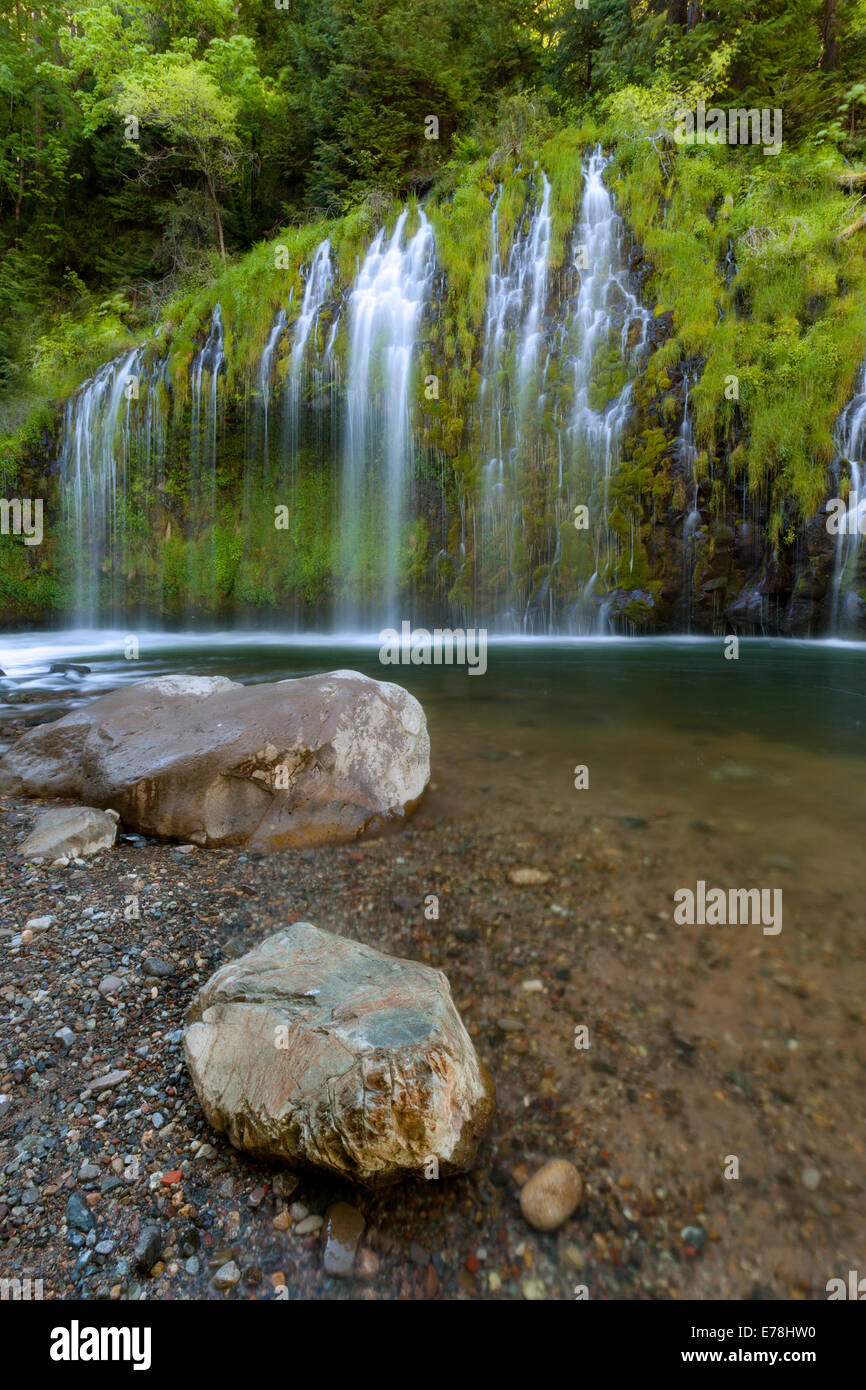 Eine lange belichtete Panoramalandschaft der Mossbrae Falls. Dutzende von Wasserfällen, die von Quellen gespeist werden, stürzen über moosige Canyonwände in den Sacramento River nahe Stockfoto