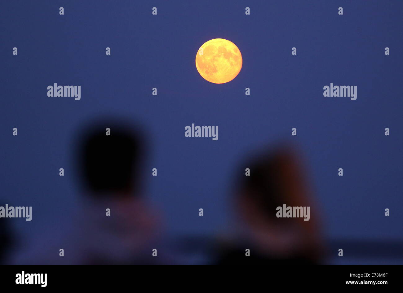 Swansea, Großbritannien. 9. September 2014.  Im Bild: ein paar auf einer Bank sitzend zu beobachten die Super Mond, bekannt als Perigäum über Swansea Bay aufgeht, wie gesehen von Mumbles, Süd-Wales, Vereinigtes Königreich. Bildnachweis: D Legakis/Alamy Live-Nachrichten Stockfoto