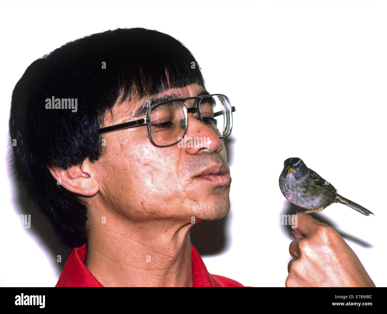 Luis Baptista, Ornithologe, California Academy of Sciences Stockfoto