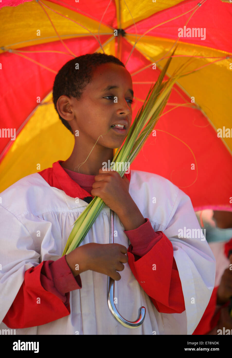 Junge unter einem riesigen Dach mit Palmzweig in der Hand. Palmsonntag-Prozession in Adigrat, Äthiopien Stockfoto
