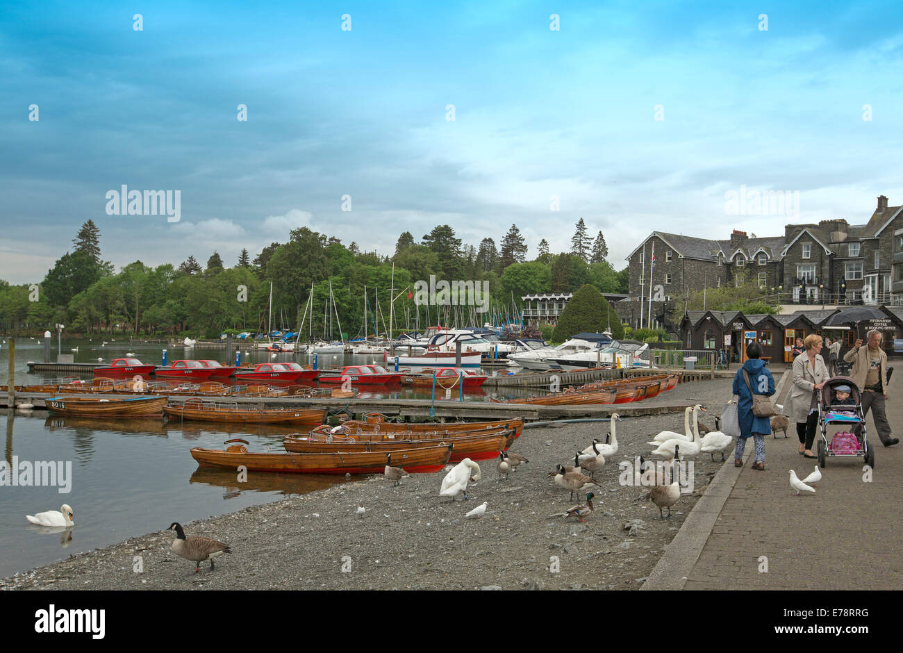 See-Windemere Schwäne mit Boote vertäut, am Ufer und Familie zu Fuß entlang der Uferpromenade in Lake District, Cumbria, England Stockfoto