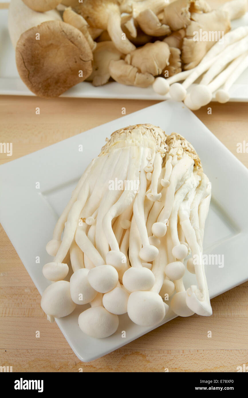 Chinesischer weißer Meeresfrüchte Pilze Stockfoto