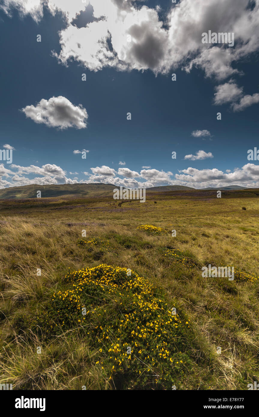 Nordwales Hochland über Penmaenmawr in der Nähe von den Druiden Kreis mit Blick auf Foel Lwyd, Cefn Coch, Tal y Fan von Moelfre Stockfoto