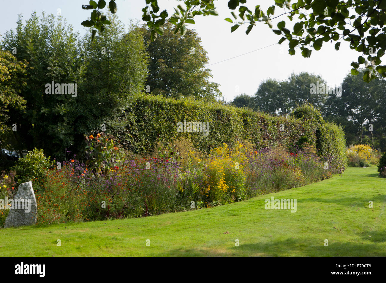 Der Garten im Hidden Valley Gardens in Cornwall an einem Sommer-Nachmittag Stockfoto
