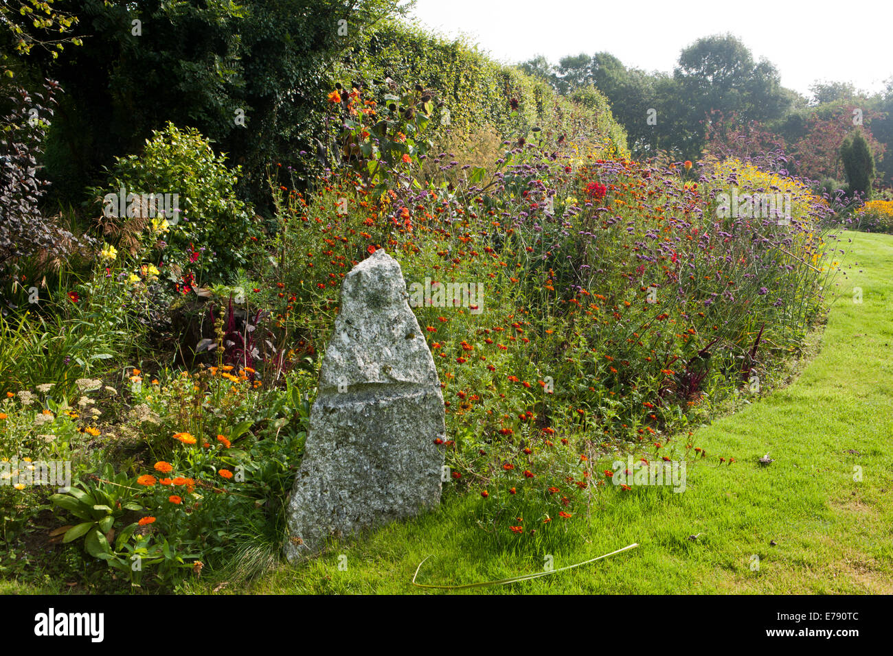 Der Garten im Hidden Valley Gardens in Cornwall an einem Sommer-Nachmittag Stockfoto