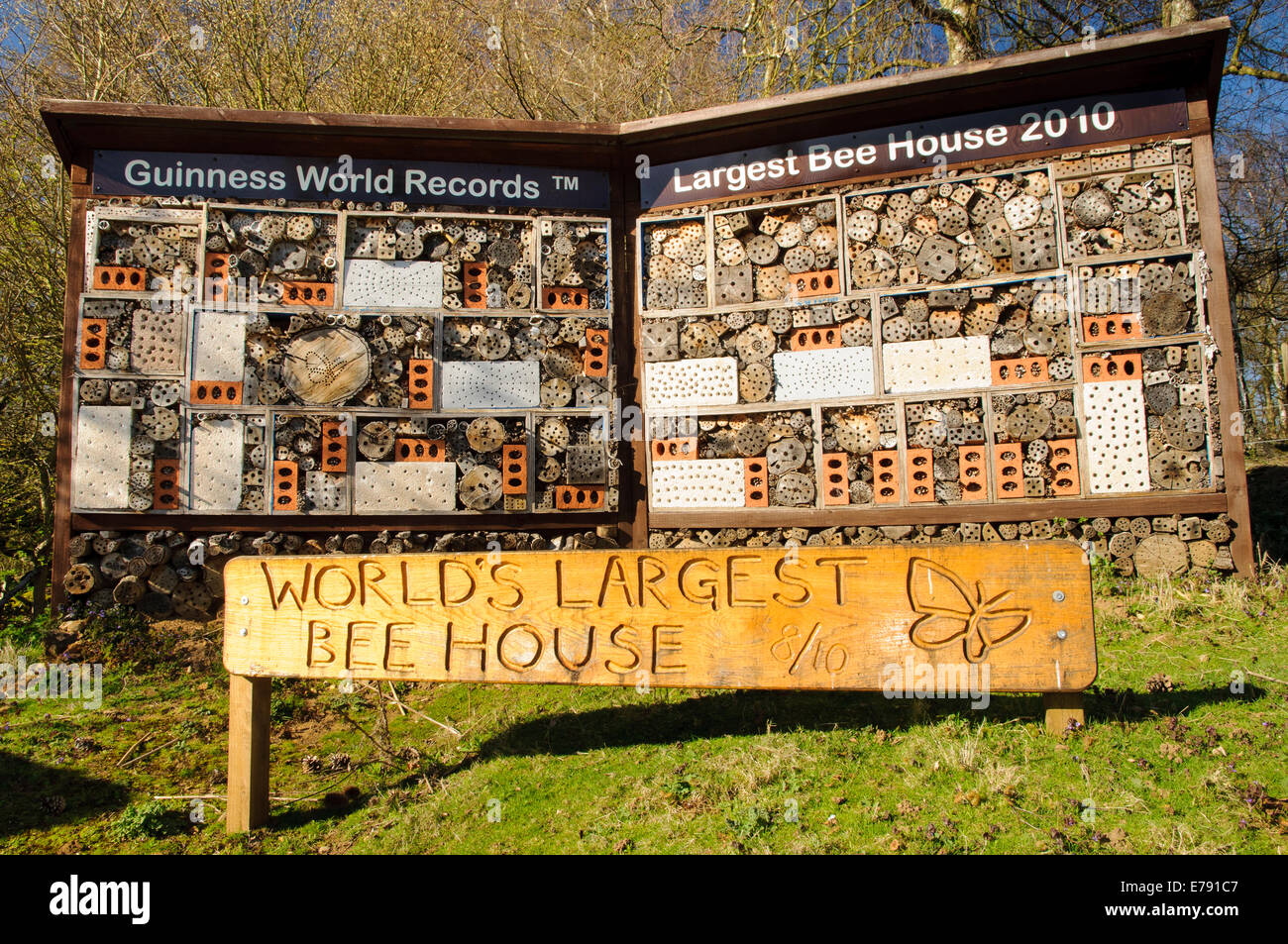 Die weltweit größte Bienenhaus in Kent Wildlife Trust Sevenoaks Wildlife reservieren in Sevenoaks, Kent. April. Stockfoto