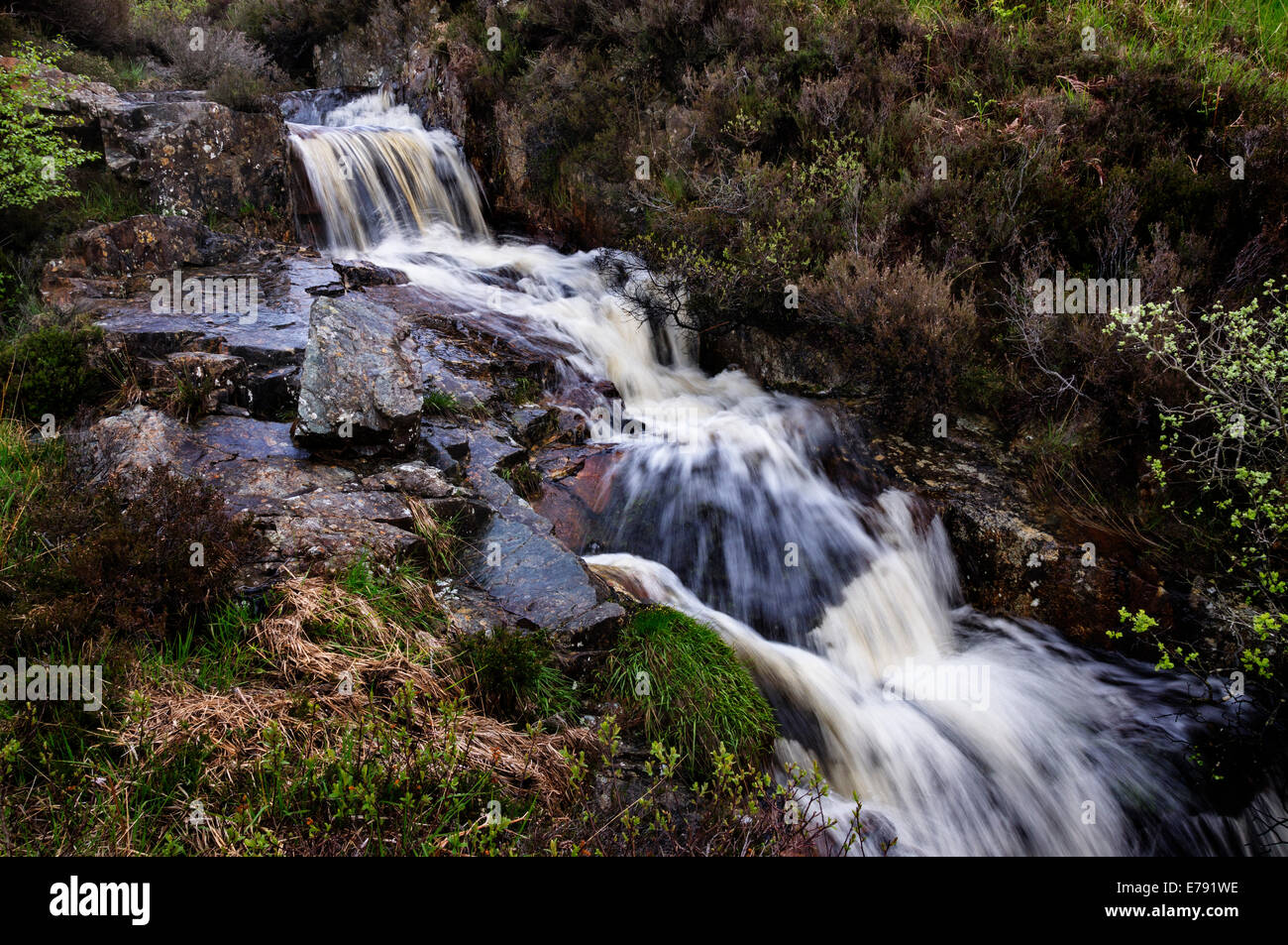 Gebirgsbach, Isle of Arran, Schottland Stockfoto