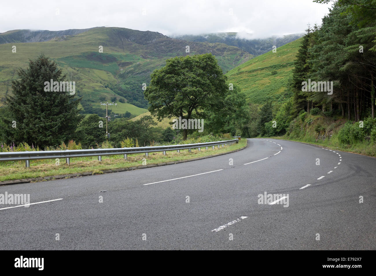 Leeres Land Straße Kurve Kurve grün saftig Stockfoto