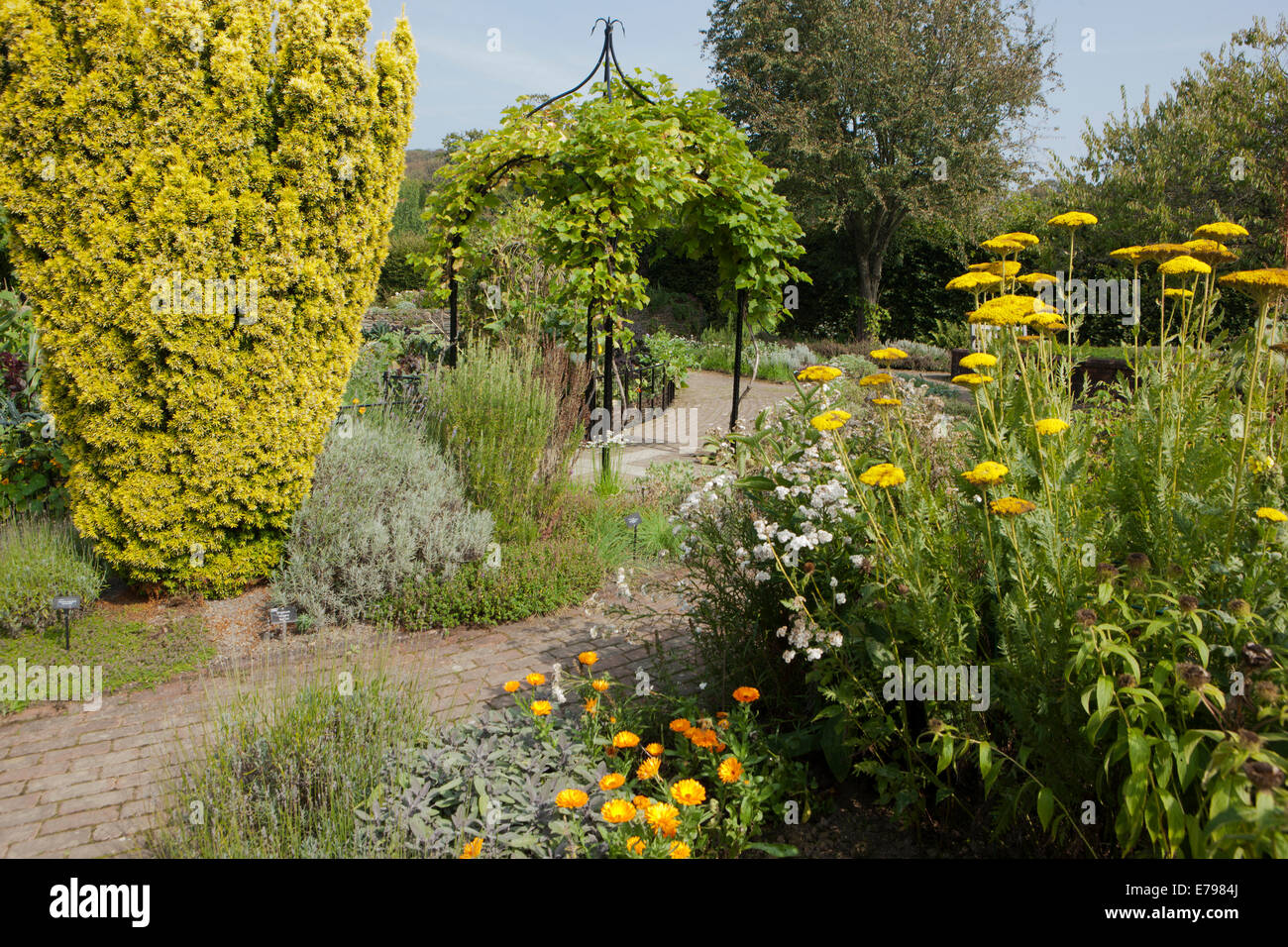 Der Garten am RNS Rosemoor, North Devon. Stockfoto