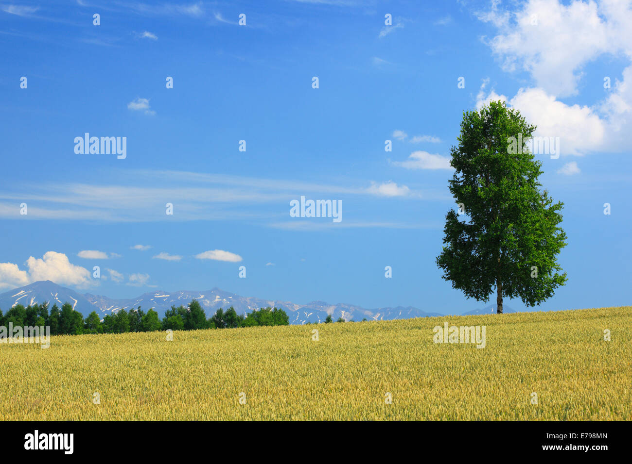 Hokkaido, Japan Stockfoto