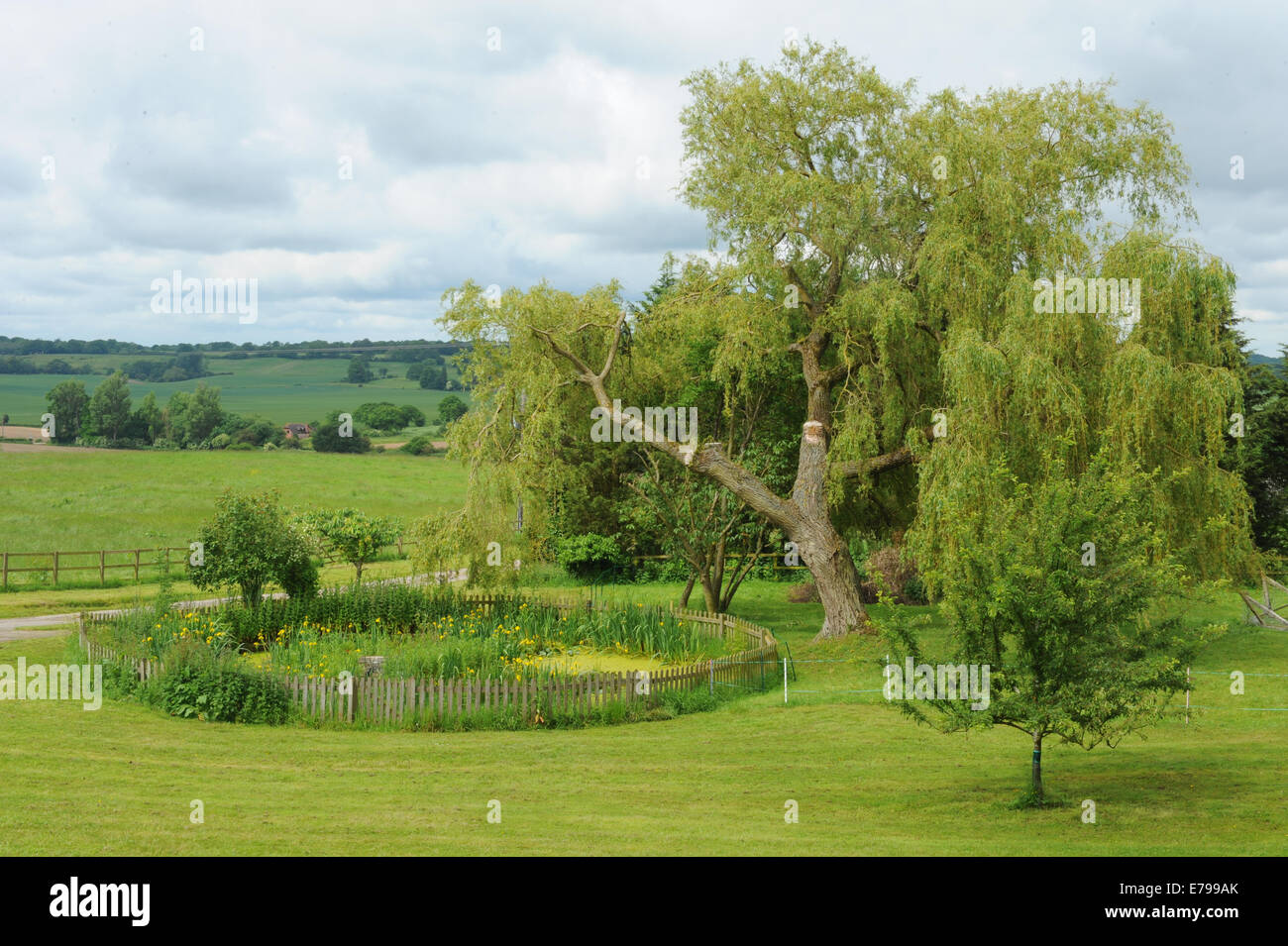 Ländliche Szenen rund um die malerischen englischen Dorf von kalte Asche in Berkshire, England, UK Stockfoto