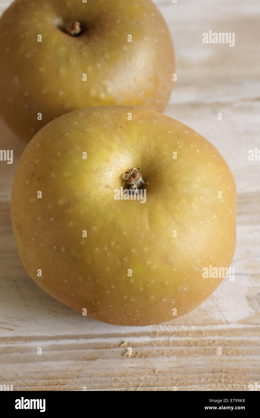 Apple Sorte Malus Domestica Egremont Rotbraun Stockfoto