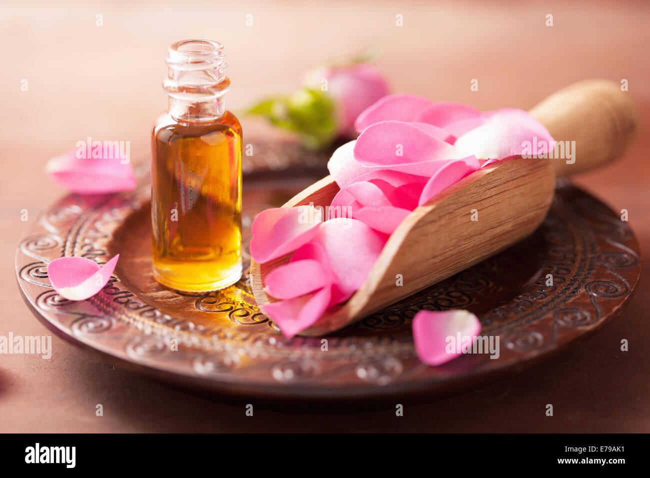 Rosenblüte und ätherisches Öl. Wellness und Aromatherapie Stockfoto