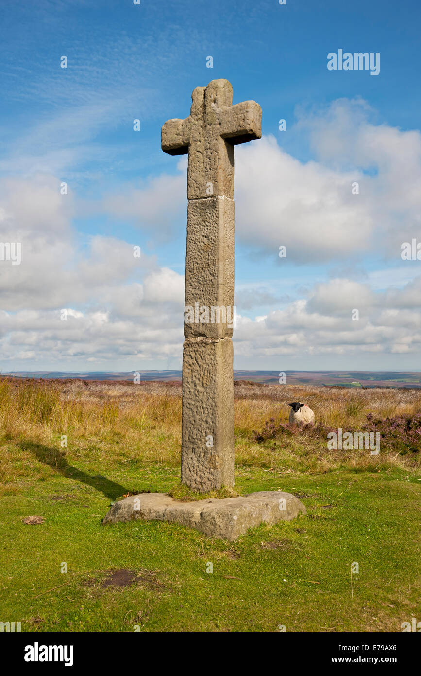 Young Ralphs Cross in der Nähe von Westerdale im Sommer North York Moors National Park North Yorkshire England Großbritannien GB Großbritannien Stockfoto