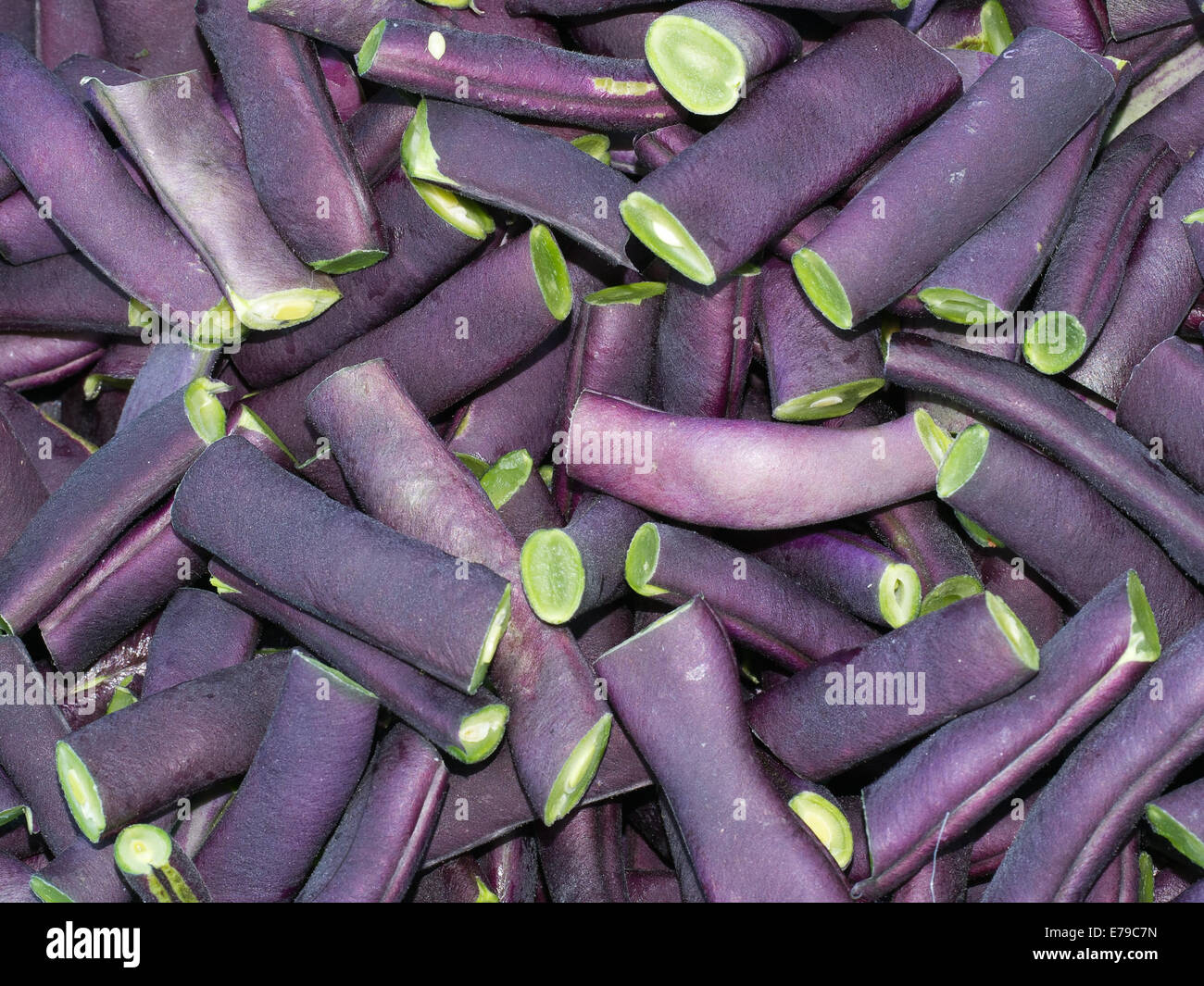 Schöne lila französische Bohnen. Stockfoto