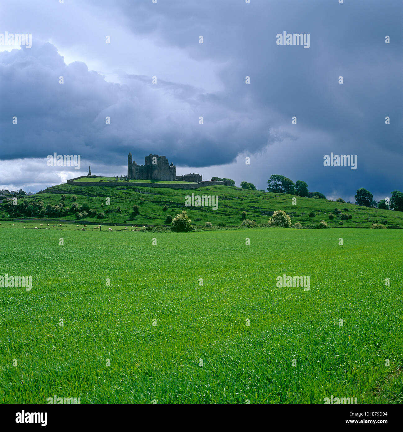 Rock of Cashel Co.Tipperary Irland Stockfoto